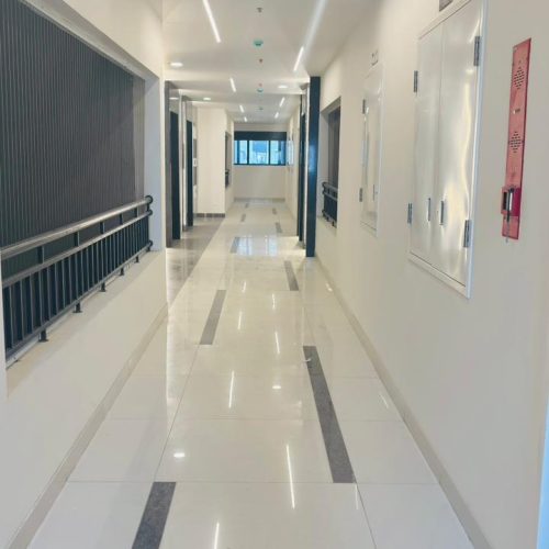 WhatsApp Image 2026-03-25 at 1.10.43 PM