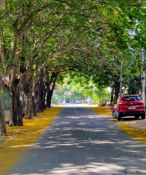 pexels-anshuman-mishra-267596-4070763-scaled